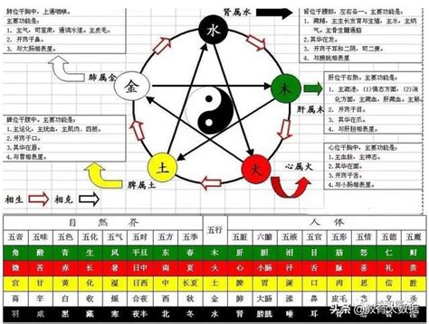 天運五行 火|天运五行属火是什么意思 天运五行属火